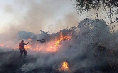 Protección Civil controla incendio en el Cerro de Tetillas